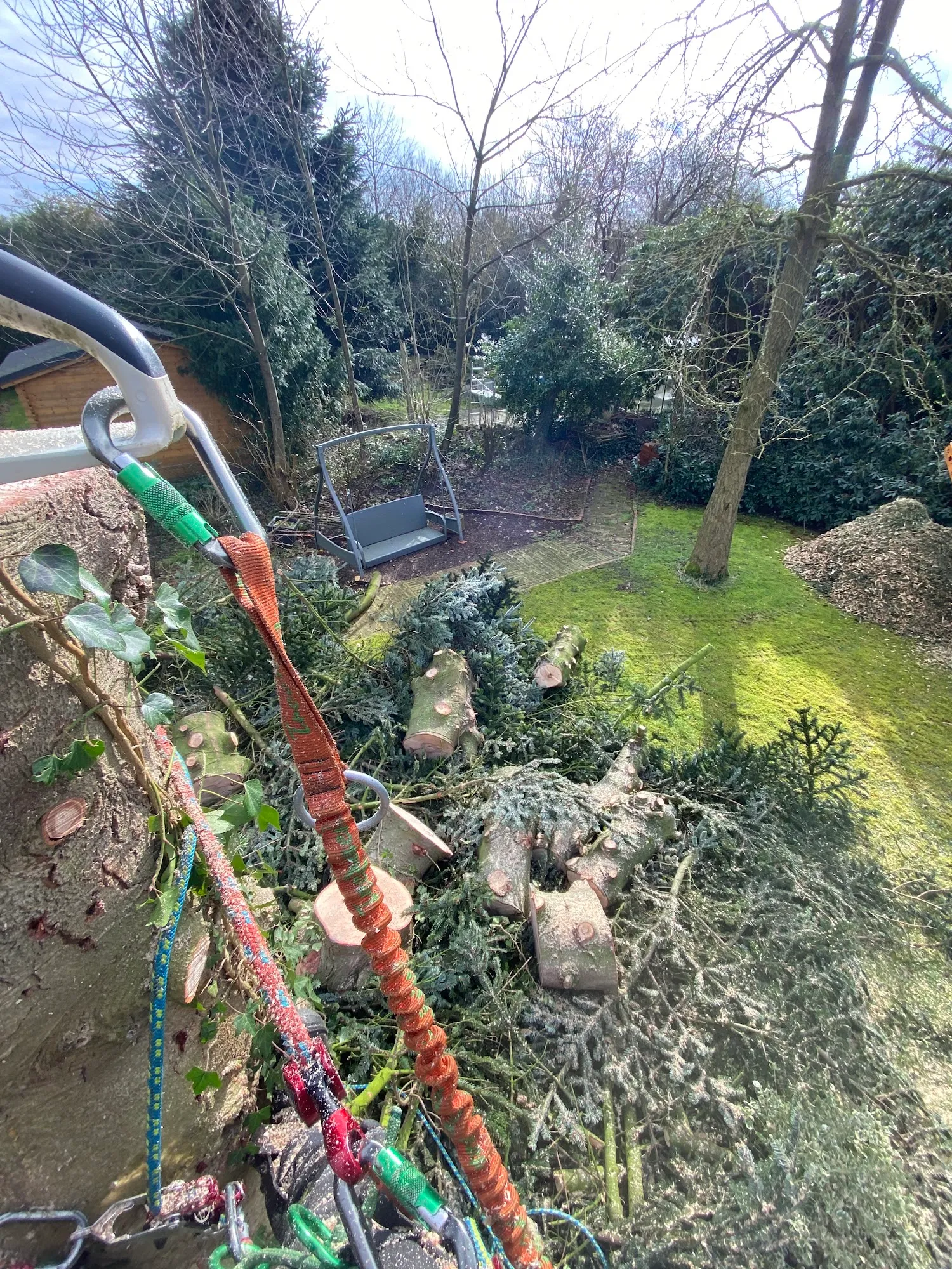 Blick aus der Baumkrone