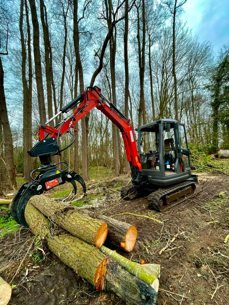 Kubota Minibagger mit Holzgreifer beim Aufnehmen gefällter Stämme